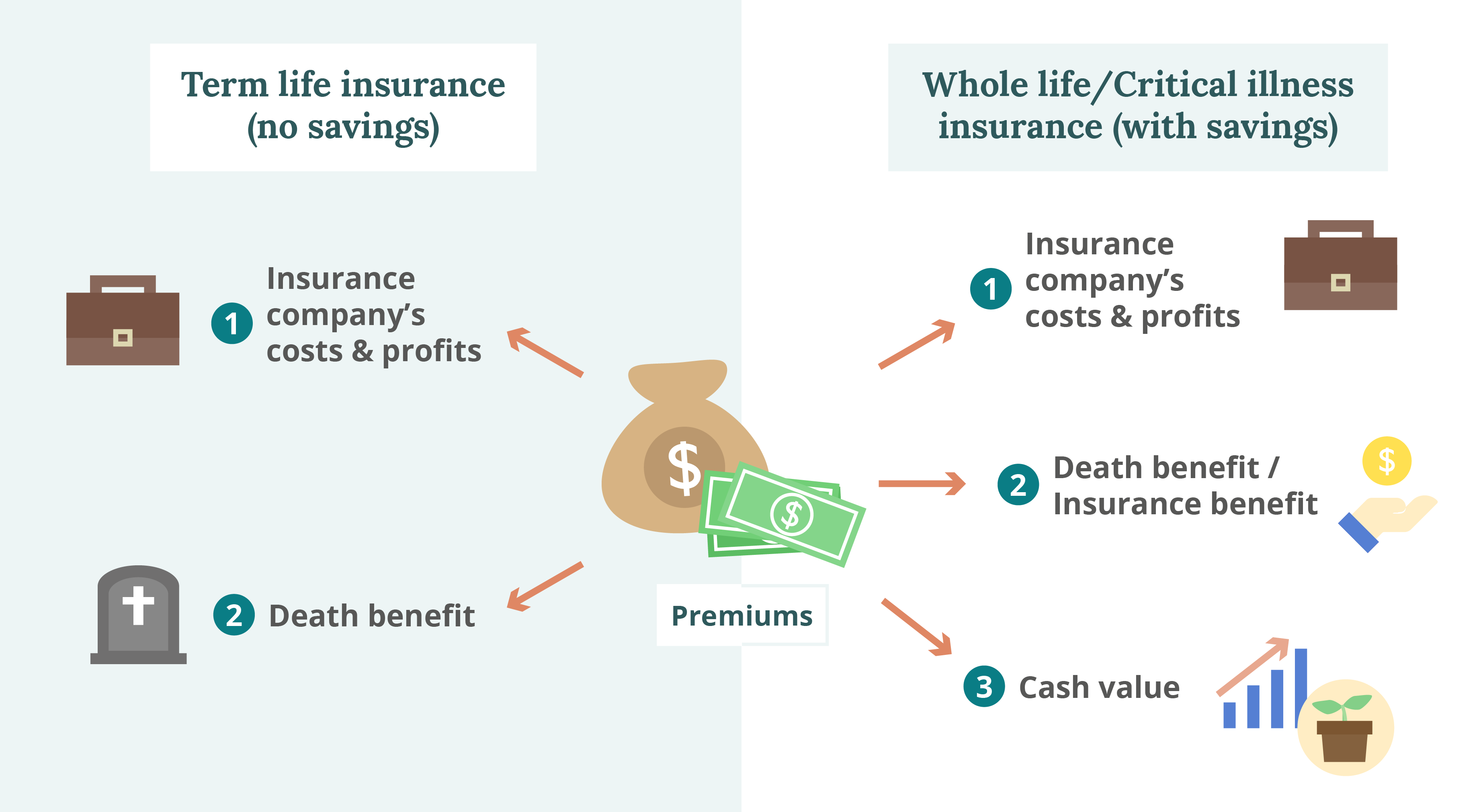 How Does Life Insurance Work? The Process Overview